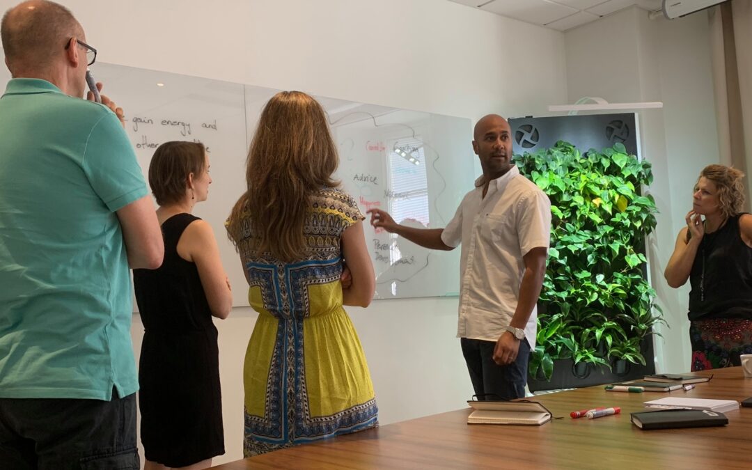 ICF TEAM COACHING COMPETENCIES